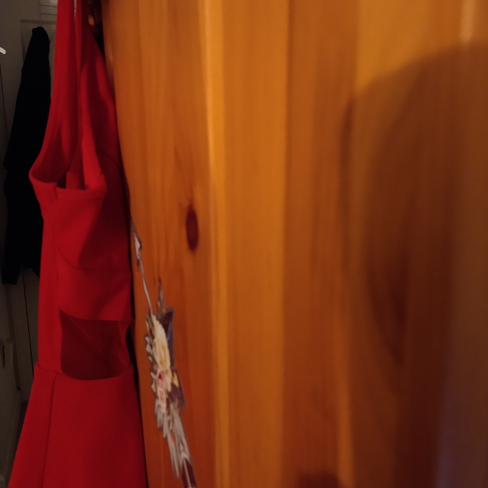 Fire Engine Red Dress - Picture 5 of 8